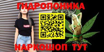 амф Лесосибирск