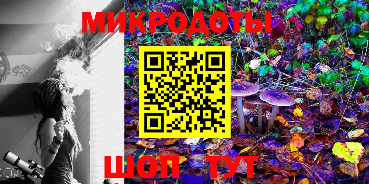 Псилоцибиновые грибы Psilocybe Знаменск